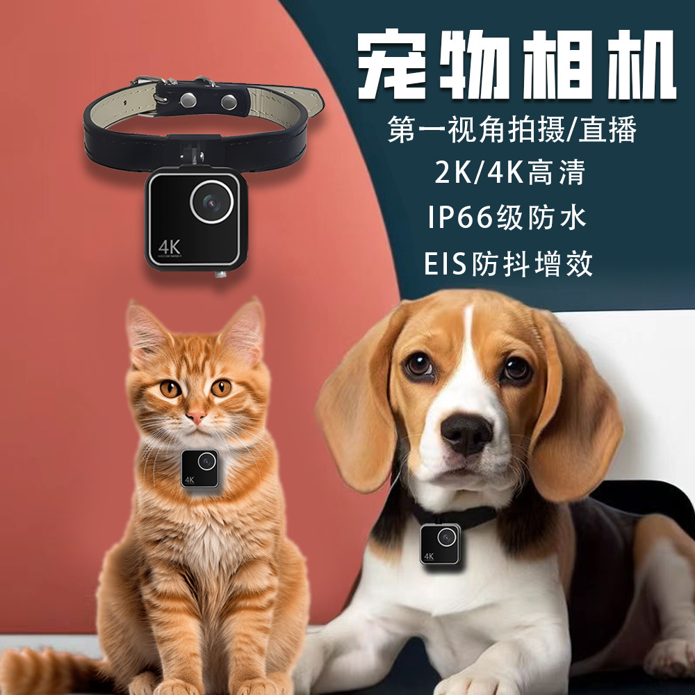Animal cat dog pet camera firs - Cameras ulasan dan harga