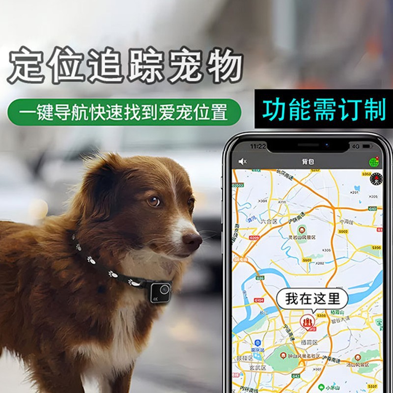 Animal cat dog pet camera firs - Cameras ulasan dan harga