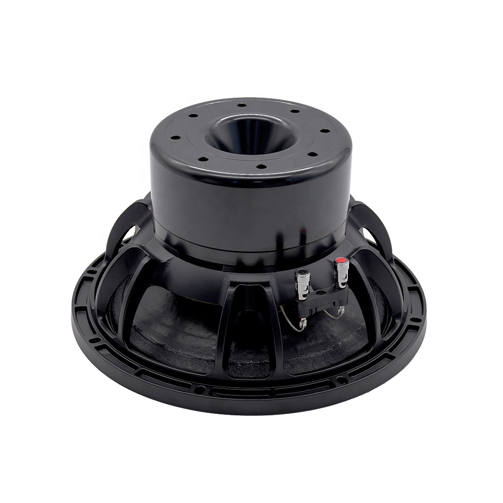 12DS Pro Audio Equipment 12''  - Speakers ulasan dan harga