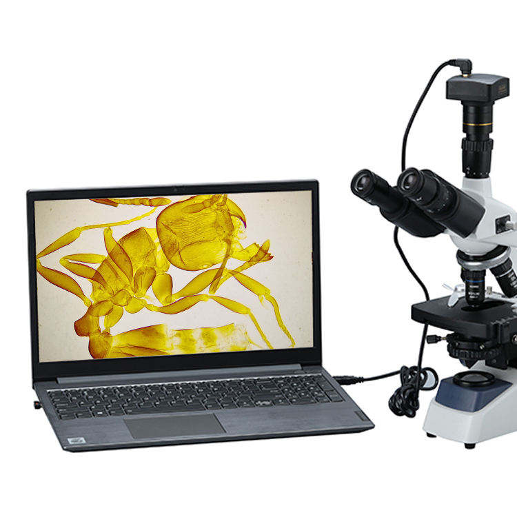 Binocular Biological Digital V - Cameras ulasan dan harga